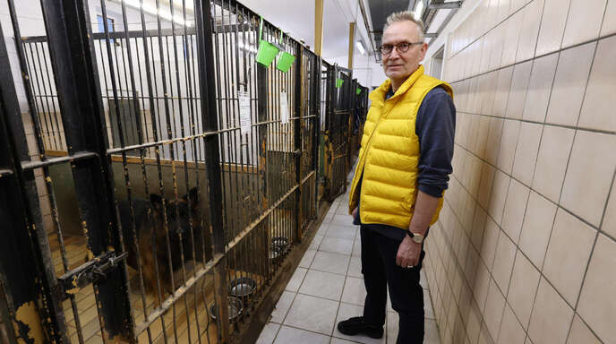 Die Zwinger sind "viel zu klein und vom Veterinärsamt nur noch geduldet werden", sagt Hans-Peter Glauner, Vorsitzender des Tierschutzvereins Kehl-Hanauerland