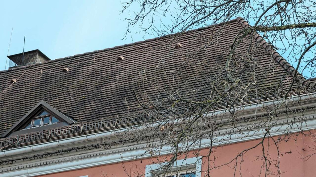 Dach Kehler Rathaus
