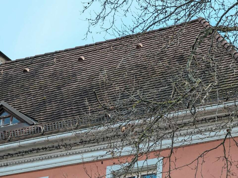 Dach Kehler Rathaus