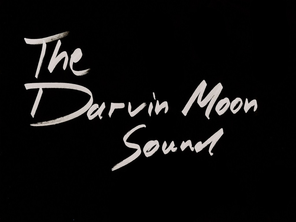 The Darvin Moon Sound