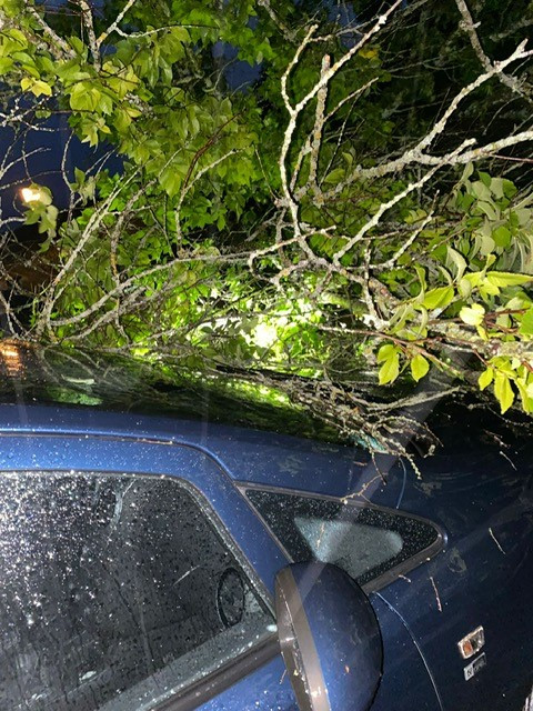 Hörerin Stefanie aus Seelbach braucht heute einen Fahrer, ihr Auto wurde von einem Baum getroffen