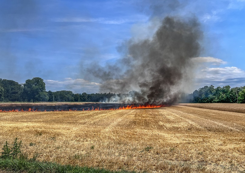 Brand in Leutesheim